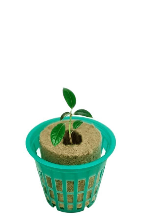 Цилиндр SPELAND ECO 50х40 мм 